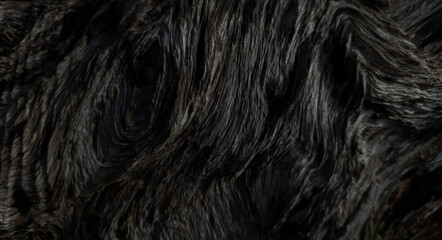 Fototapeta premium Horizontal view of weathered dark brown dead tree trunk with rough cracked bark texture