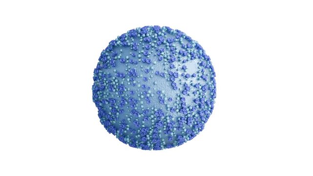 3D animation of the Nipah virus (NiV), a spherical particle with various protrusions, it is a representation of the virion. A case fatality rate estimated between 40% and 75%.