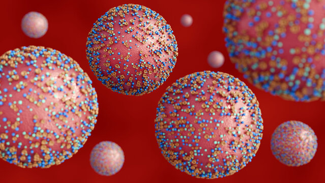 3D rendering of the Nipah virus (NiV), a spherical particle with various protrusions, it is a representation of the virion. A case fatality rate estimated between 40% and 75%.