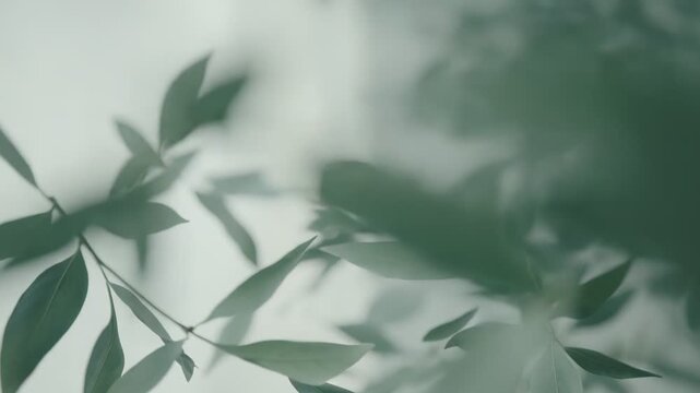 Green plant leaves frame the top of a subtle, tranquil backdrop, creating a sense of natural beauty, organic growth, and refreshing simplicity, suitable for various design layouts
