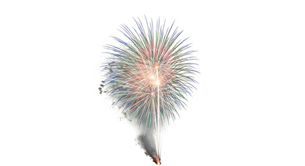 Obraz premium Colorful New Year fireworks explode like fluffy white dandelion seeds blowing through a clear blue summer sky over a green plant stem isolated on white