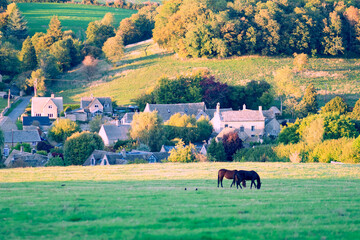 Cotswolds typical landscape scene on a rural village with some horses herding in the meadows