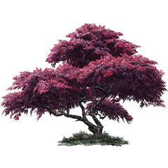 Decorative pink fantasy tree isolated on white background