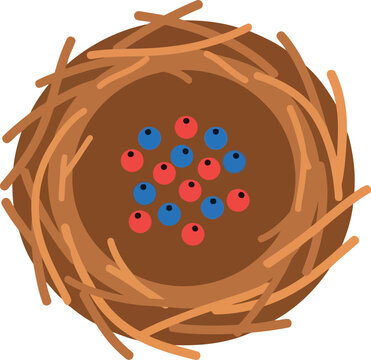 Bird nest with colorful eggs top view isolated vector illustration for spring, Easter, and nature themes