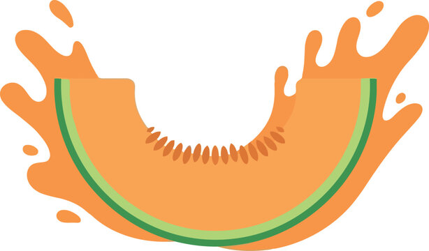 Fresh cantaloupe slice with juice splash vector illustration for summer food and healthy eating concepts