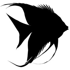 Clipart illustration of angelfish on a white background. Suitable for crafting and digital design projects.[A-0001]
