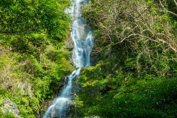 フナンギョの滝