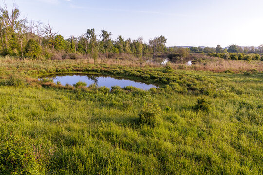 Landschaft im Naturrschutzgebiet Petite Camargue, Frankreich