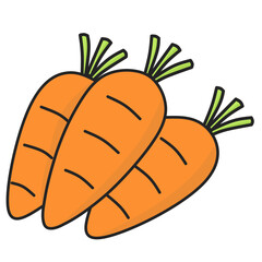 Carrot Illustration
