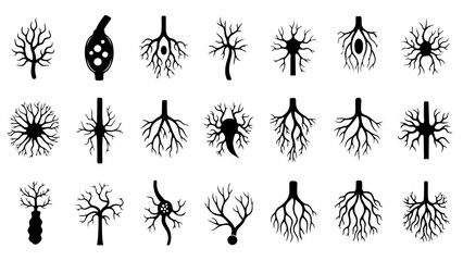 Collection of detailed neuron and branching tree silhouettes