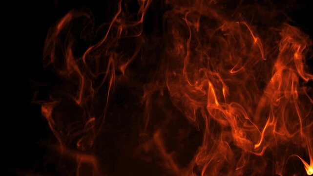 Mystical Smoke Patterns Dance in the Dark Background, Shaping Abstract Art