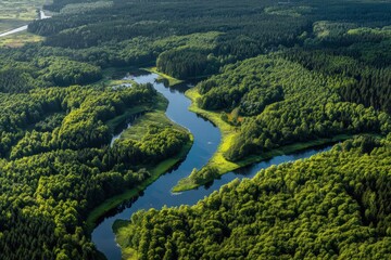 Scenic view of winding river surrounded by lush green forest in Tuchola Natural Park during daytime