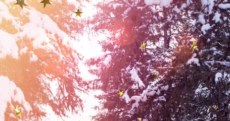 Obraz premium Glowing snowy evergreen branches catching pink lens flare in winter canopy, with gold stars