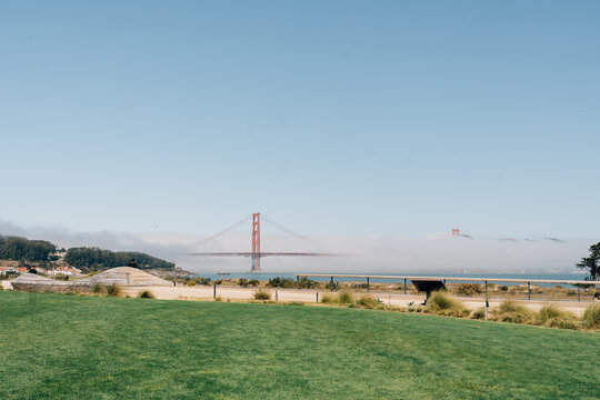Grass lot with foggy golden gate bridge in background