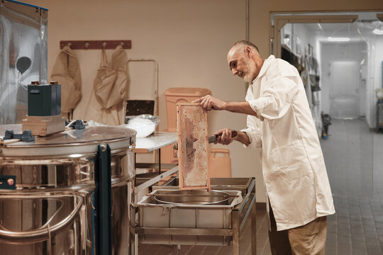 Beekeeper Processing Honeycomb in a Traditional Workshop
