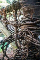 祖谷のかずら橋　支柱部分
