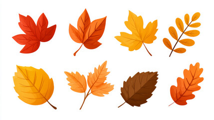 Fototapeta premium Colorful autumn leaves collection for seasonal design and decoration