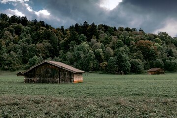 Rustic wooden barn in green meadow below forested alpine hillside in Bavaria, Germany