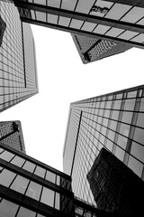 Fototapeta premium Modern Skyscrapers Converging Upward - Urban Architecture