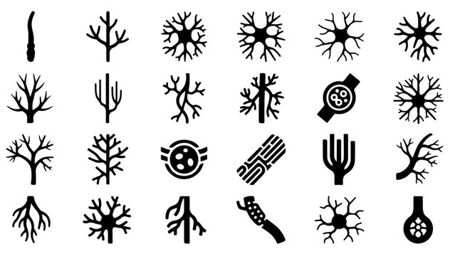 Collection of black neuron and biology icons on white background