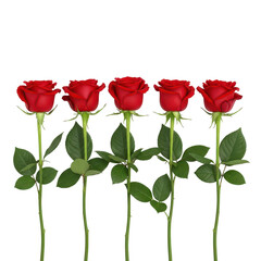 Obraz premium Bouquet of four red roses with green stems and leaves isolated on transparent background