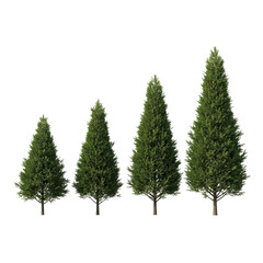 Fototapeta premium Four green conifer trees isolated on transparent background for landscaping