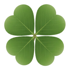A green four leaf clover on transparent background