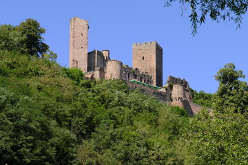 Fototapeta premium Ruine Henneburg auf dem Kühlberg oberhalb des Historischer Ortskern von Stadtprozelten, Landkreis Miltenberg, Unterfranken, Franken, Bayern, Deutschland