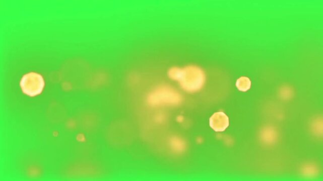 Bokeh gold particles green screen.