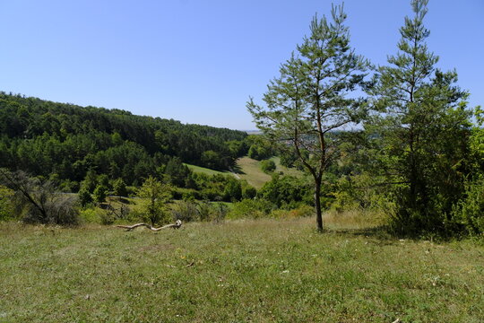Das NSG Romberg bei Marktheidenfeld am Main, Naturpark Spessart, Landkreis Main-Spessart, Unterfranken, Franken, Bayern, Deutschland
