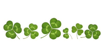 Collection of shamrocks isolated on transparent background