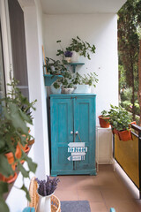 Obraz premium Small balcony with blue wooden bench and summer flowers.