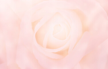 Obraz premium Abstract shiny fabric texture background, blank silky fabric background