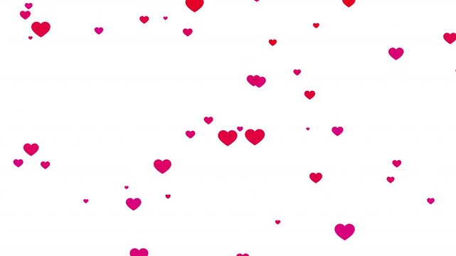 Falling red hearts animation on transparent background, falling red hearts particle effect best for Valentines Day, wedding anniversary, love, motion graphic video animation.