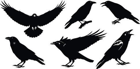 Obraz premium Black silhouettes of six crows in various poses crow, crows, black, silhouette, silhouettes, birds, animals, wings, flying, standing, white background, claws, beaks, feathers, various, poses, differen