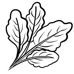 Obraz premium Spinach drawing outline - salad- vegan