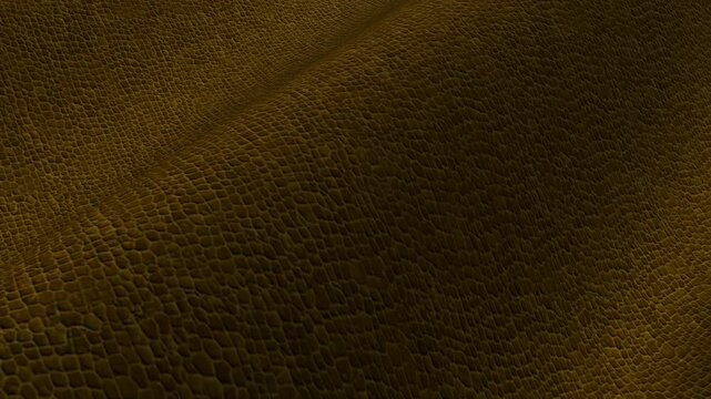 Crocodile Leather Olive Texture in High Resolution, Rotation, Waves, Looped Background
