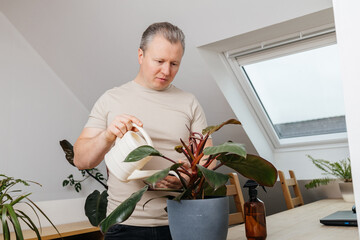 Man watering houseplant caring for indoor plants © Elena Medoks