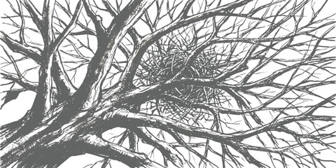Detailed ink sketch of ancient gnarled tree branches spreading outwards, black and white artistic illustration