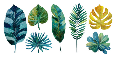 Fototapeta premium Watercolor - Leave set watercolor illustration isolated on transparent. png file for art work.