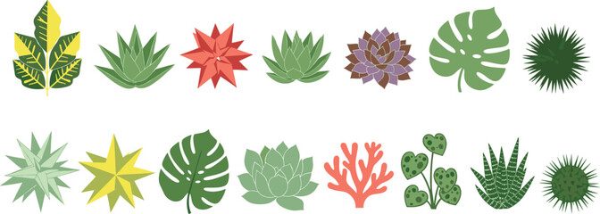Naklejka premium Collection of various tropical leaves succulents and decorative indoor plants