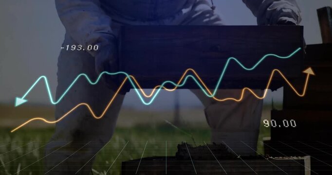 Carrying wooden box, person with beekeeping suit over financial data animation