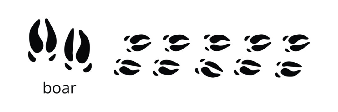 Wild boar hoof footprints silhouette collection for animal tracking and wildlife related designs.