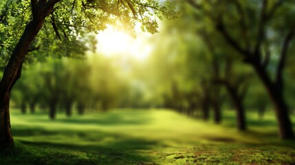 Obraz premium Abstract blurred green nature background with soft bokeh light, defocused trees in summer park, natural sunlight rays, spring freshness, copy space backdrop for wallpaper and web design