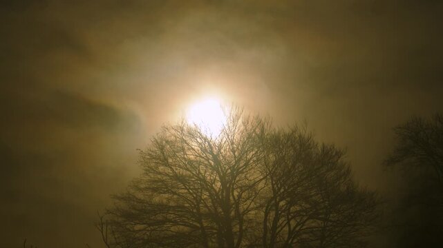 Sunrise behind fast moving hazy volumetric clouds with winter bare trees creating mysterious horror tone. Great for foreshadowing or weather-related projects.