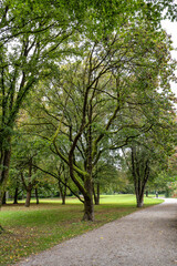 Autumn view of the Luitpold park near Olympic Park in Munich, Bavaria, Germany