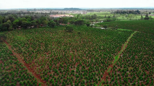 Broad Aerial Perspective Emphasizing Land Separation And Intricate Access Routes Across Rural Terrain. Media