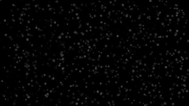 Gray bokeh filter for digital image processing