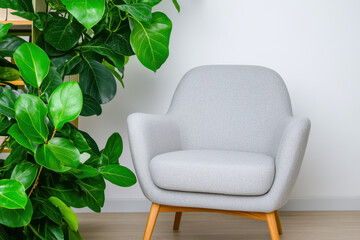 Armchair plant living room interior modern minimalist comfort relaxation home furniture present modern living room interior with armchair near plant for home relaxation and comfort minimalist