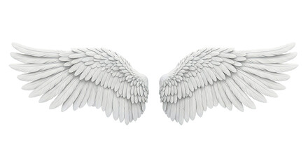 Obraz premium White Angel Wings